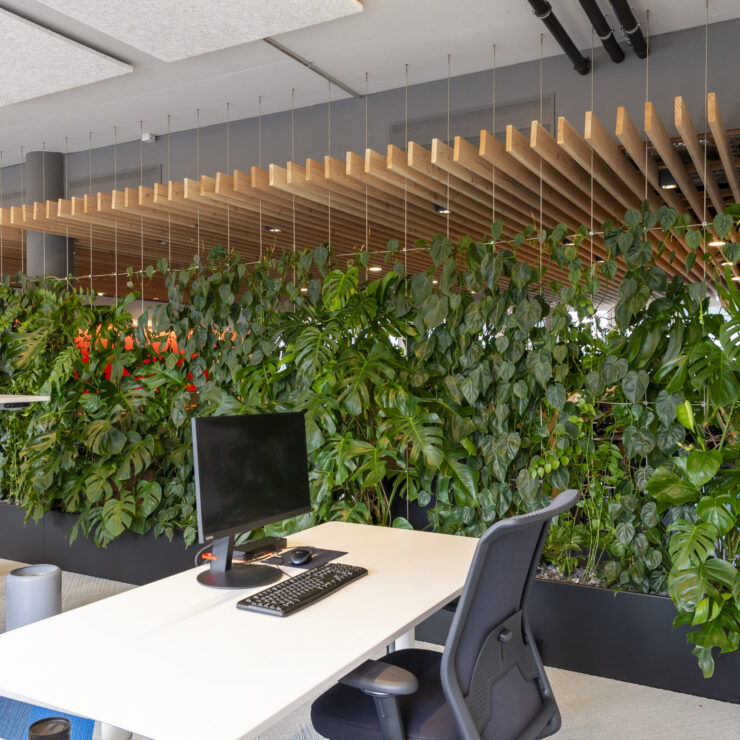 Open space avec mur végétal
