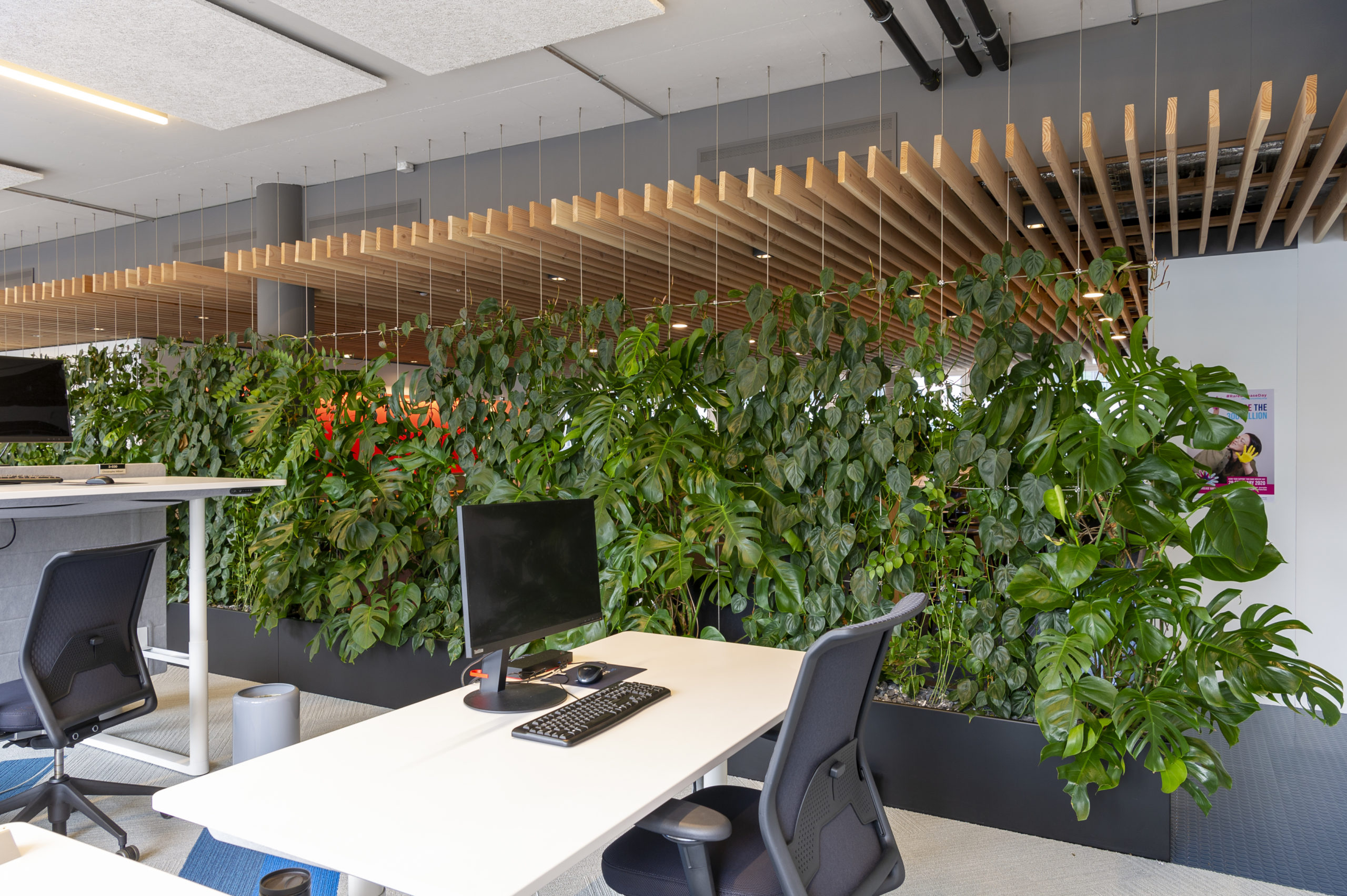 Open space avec mur végétal
