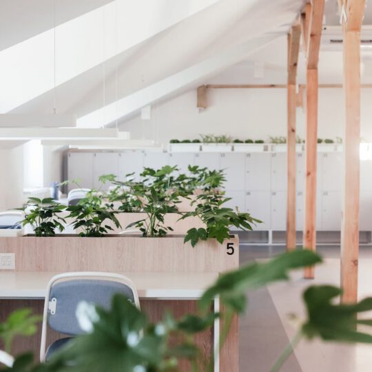 Open space moderne avec plantes