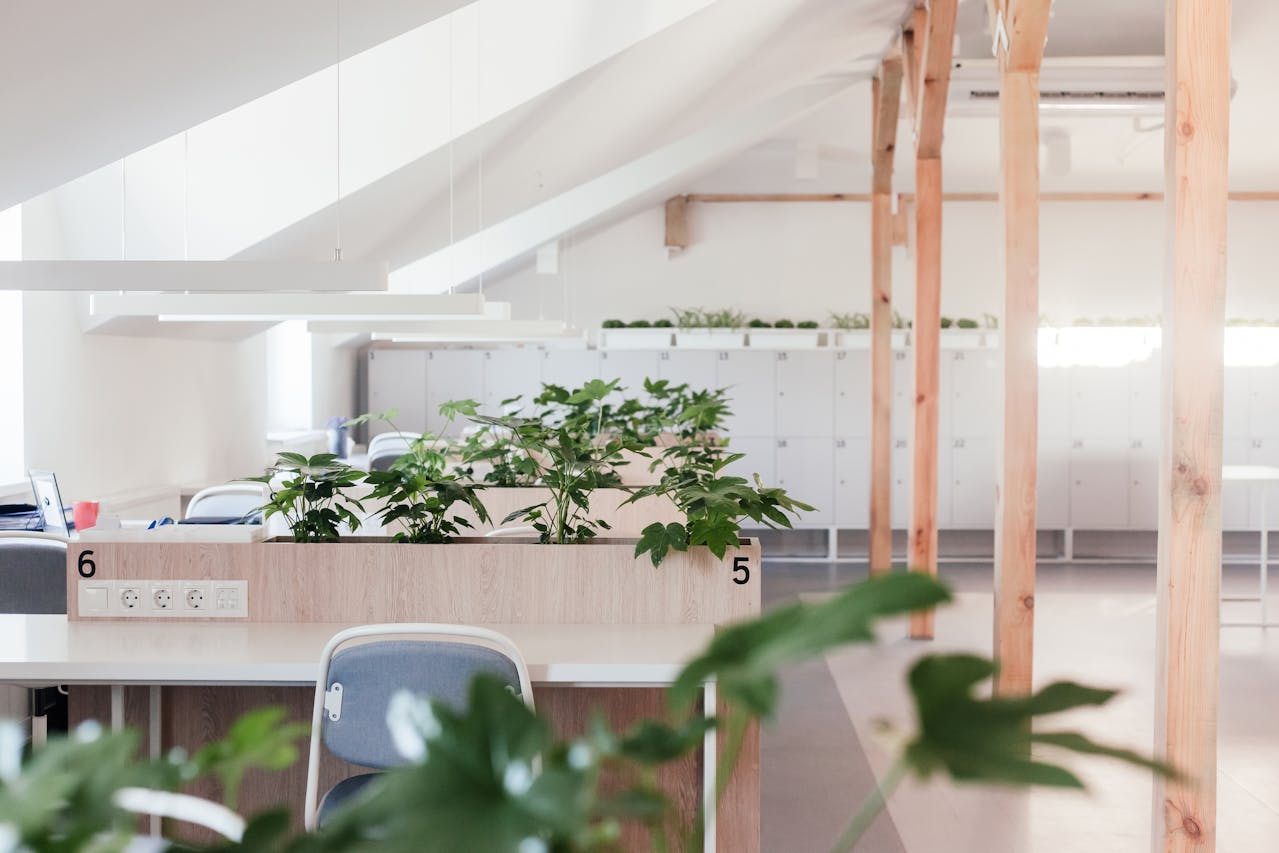 Open space moderne avec plantes